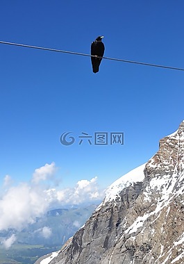 瑞士,蓝色,alpenkauw