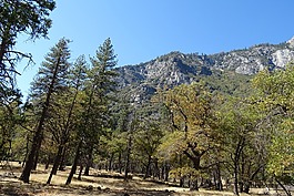 優(yōu)勝美地,國家公園,巖石形成
