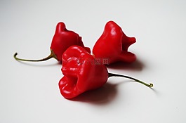 辣椒粉,红,主教的帽子