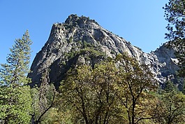 谷,植被,優(yōu)勝美地