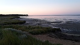 美国瓦茨,景观,海滩
