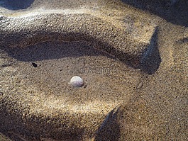 落潮,海,潮汐