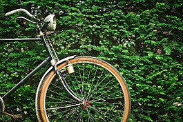 自行車(chē),老,輪