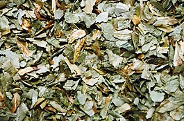 野蒜,干的,切片