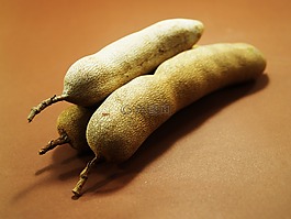 羅望子,孤立,成熟