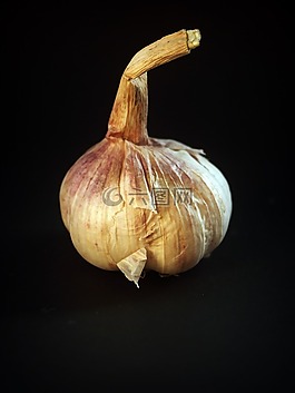 大蒜,餐,白