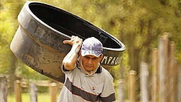 人民,哥倫比亞的農(nóng)民,成人