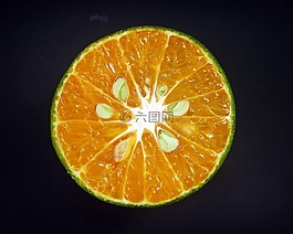 橙色,水果,切片