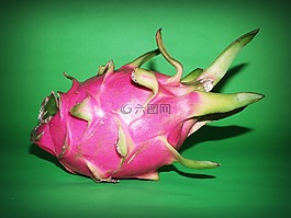水果,龍,特寫