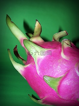 水果,龍,特寫