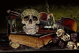 vanitas,死亡,頭骨