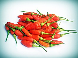辣椒,胡椒,紅色