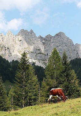 奧地利,阿爾卑斯山,山