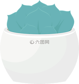 sukulent,花盆,工廠