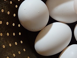 雞蛋,鄉(xiāng)村,農(nóng)業(yè)