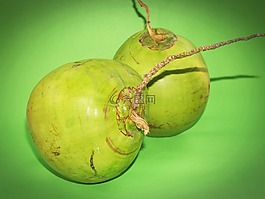 椰子,綠色,白