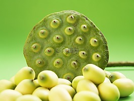 蓮花,種子,花