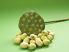 蓮花,種子,花