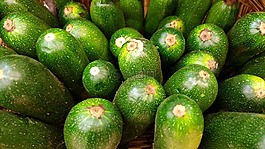 夏南瓜,生物,蔬菜