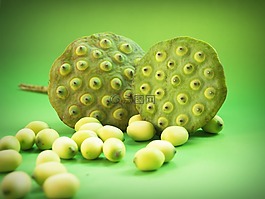 蓮花,種子,花