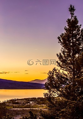 山,景觀,樹