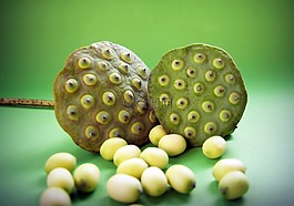 蓮花,種子,花