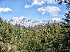 白云巖,樹(shù),山