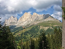 白云巖,樹(shù),山