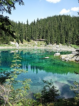 湖 carezza,白云岩,森林