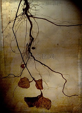 根,挂,艺术