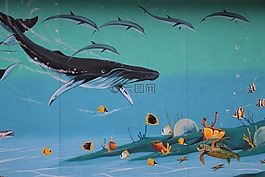 bowever,海,海洋