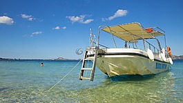 人體內(nèi)的水,海,夏天