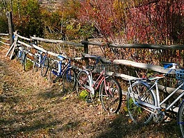自行車,籬笆,老