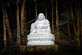 佛教,雕像,宗教