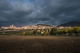 全景,旅行,樹(shù)