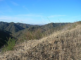 圣塔莫尼卡,山,美国加州