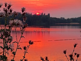 日落,薊,湖