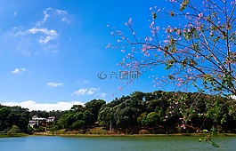 湖,景观,美丽