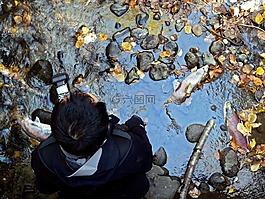 攝影師,人,死亡