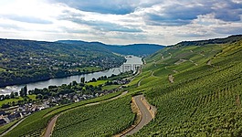 graach,養(yǎng)羊場,mosel