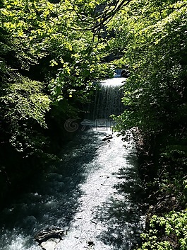 瀑布,河,瑞士