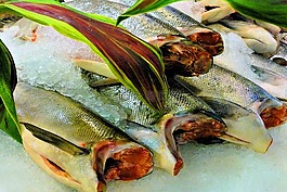 鱼,三文鱼 lachs,食品