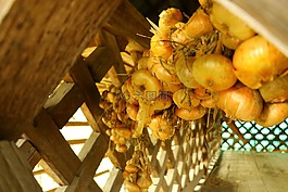 洋葱,挂,hayrack