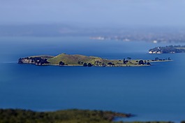島,奧克蘭,新西蘭