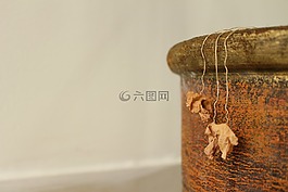 干的樹(shù)葉,背景,花盆