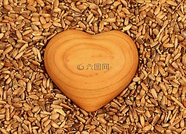 心,樹,種子