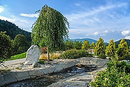花園,溪,噴泉