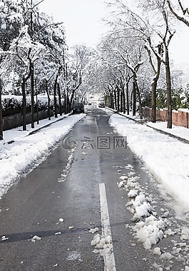 雪,內(nèi)華達(dá)州,冬天