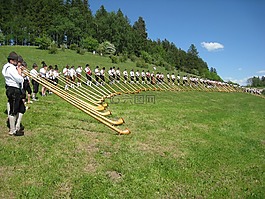 阿爾高,alphorn,alphorn 風會議