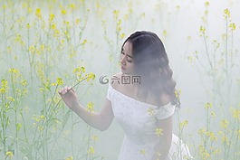 肖像,黃,花卉改革